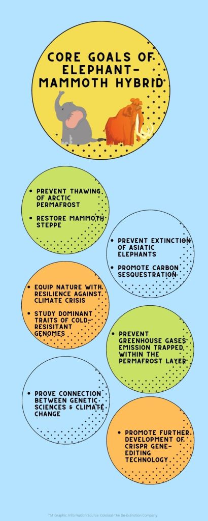 Woolly mammoth - The Scientific Triangle