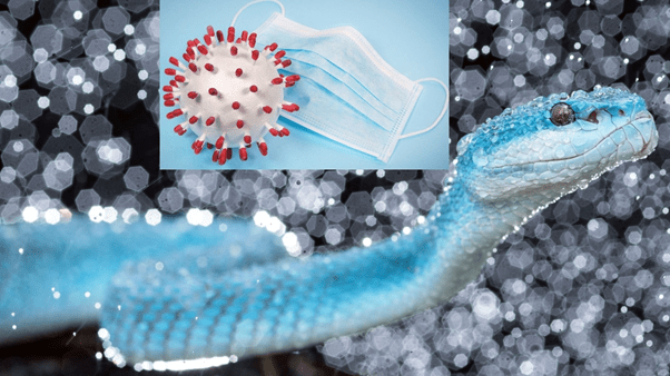 cure for Covid-19 - the scientific triangle