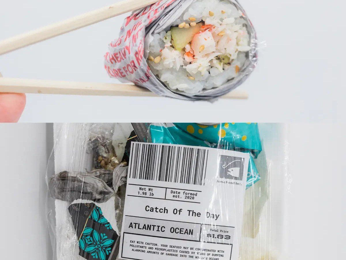 Microplastics in Humans [New Understanding in&nbsp;2024]