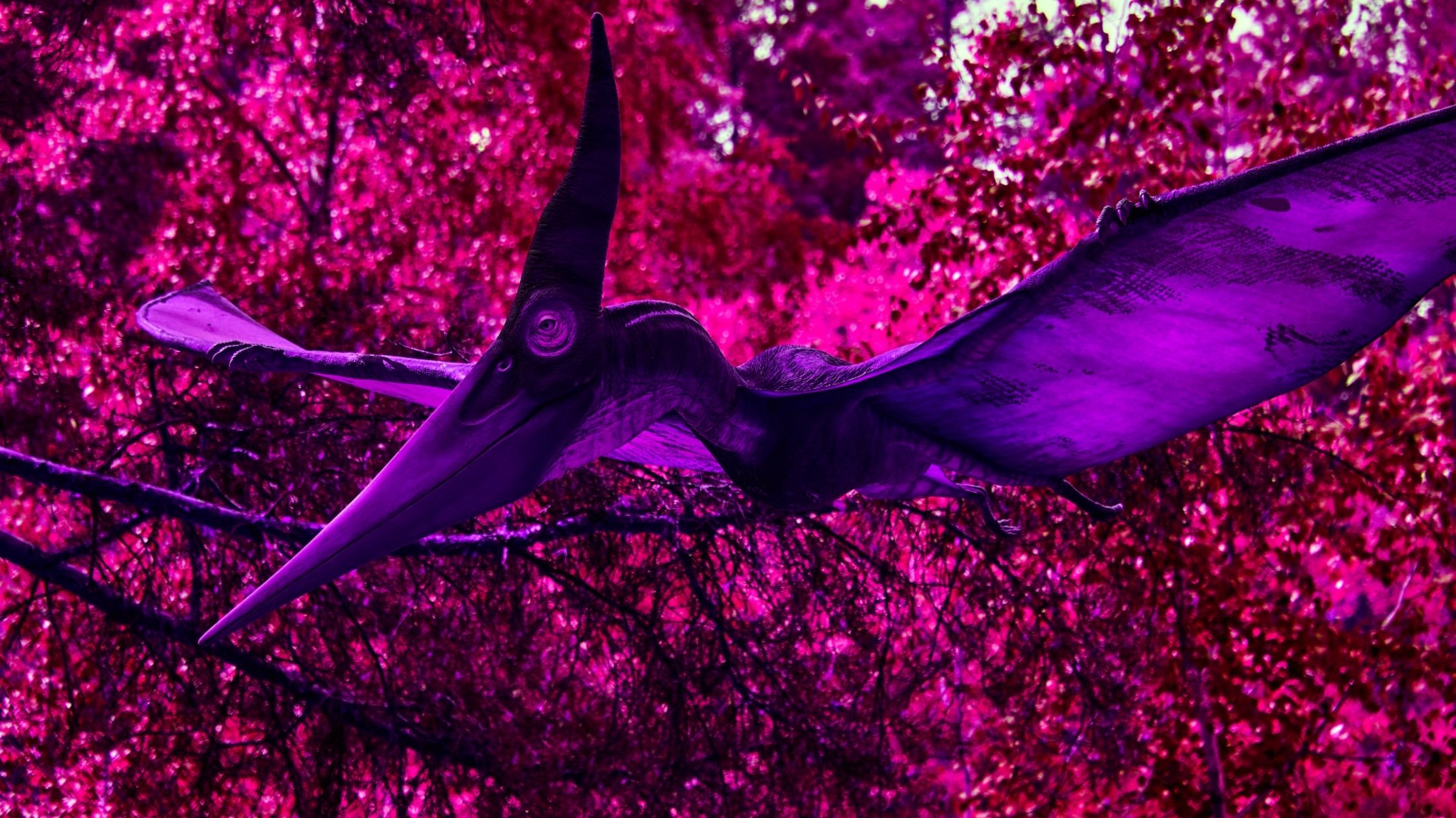 Pterosaur-The Scientific Triangle