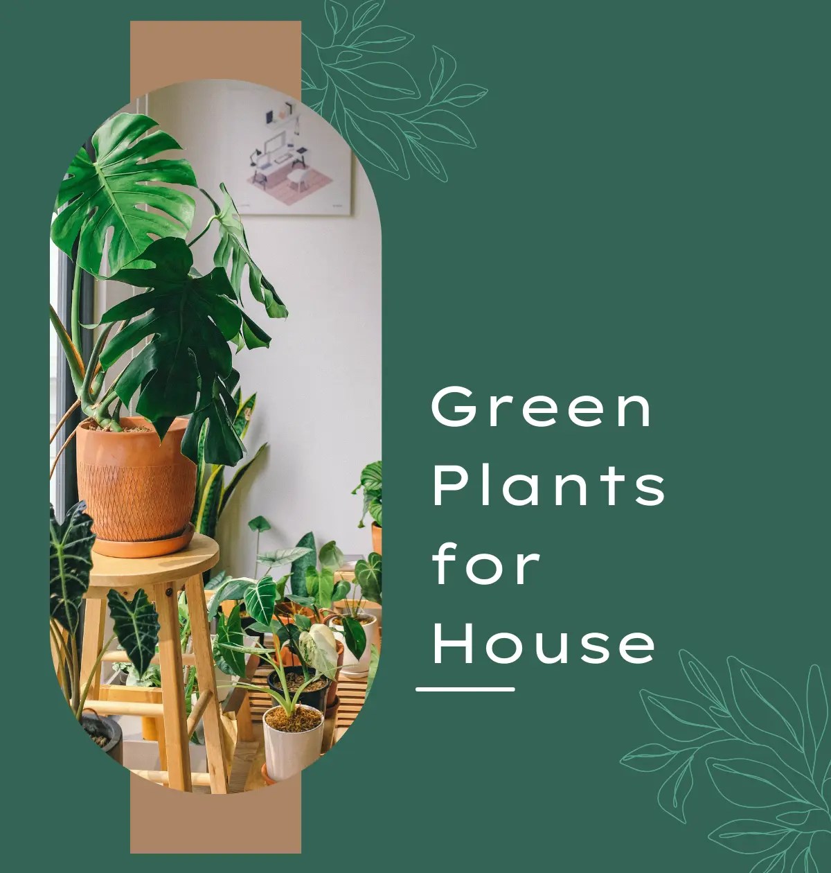 Green Plants for Houses
