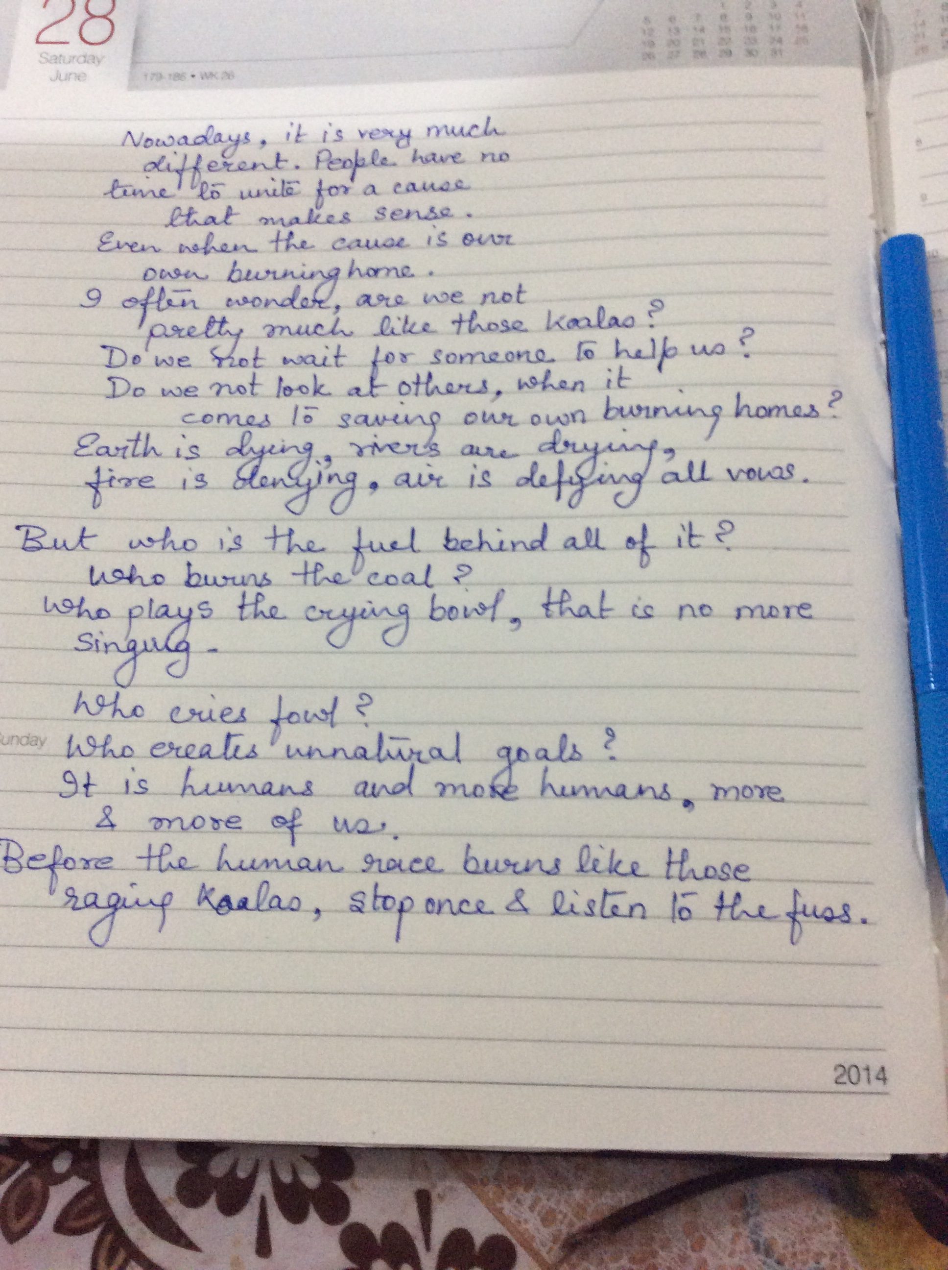 Poetry, koala bears,  burnt koalas, 80%  koala bears lost life