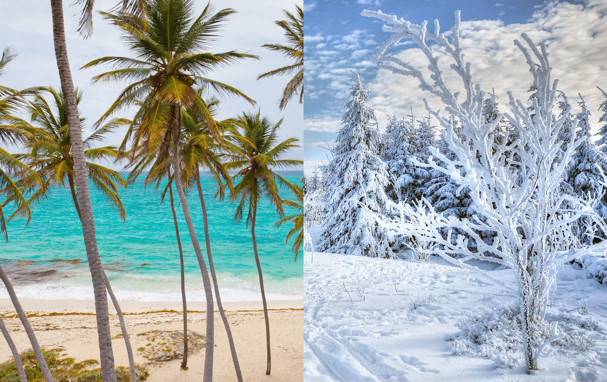 Environmental Effects of Pollution on Our Climate